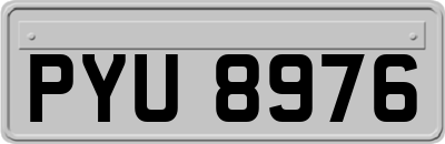 PYU8976