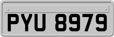 PYU8979