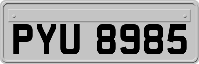 PYU8985