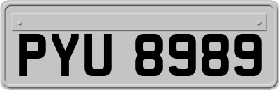 PYU8989