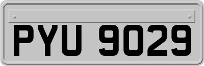 PYU9029