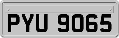 PYU9065