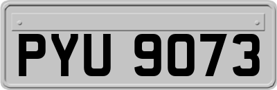 PYU9073