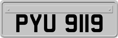 PYU9119