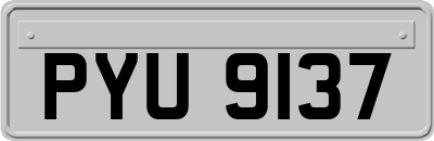 PYU9137