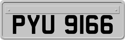 PYU9166