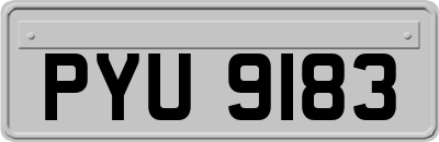 PYU9183