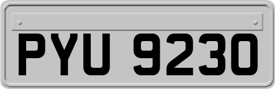 PYU9230