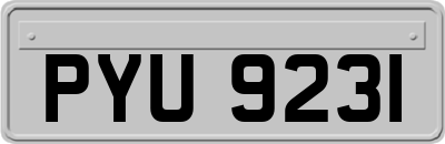 PYU9231