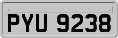 PYU9238