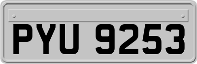 PYU9253