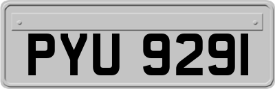 PYU9291