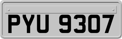 PYU9307