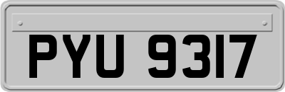 PYU9317