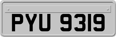 PYU9319