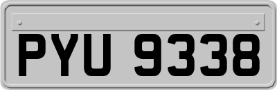 PYU9338