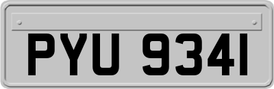 PYU9341