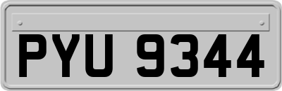 PYU9344