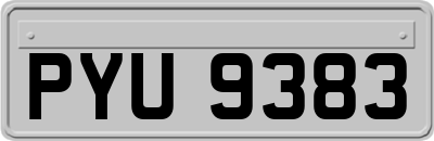 PYU9383