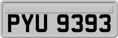 PYU9393