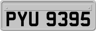 PYU9395