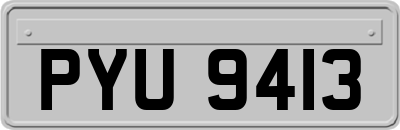 PYU9413