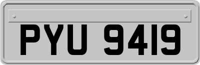 PYU9419