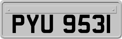 PYU9531