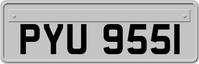 PYU9551