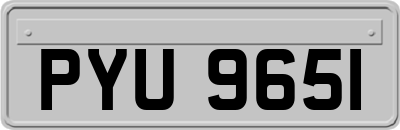 PYU9651