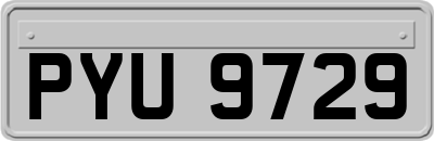 PYU9729