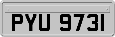 PYU9731