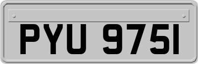 PYU9751