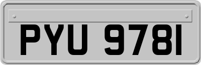 PYU9781