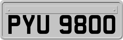 PYU9800