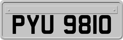 PYU9810