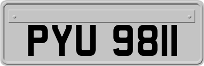 PYU9811