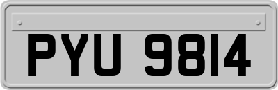 PYU9814