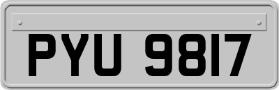 PYU9817