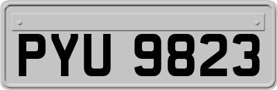 PYU9823