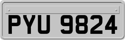 PYU9824