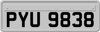 PYU9838