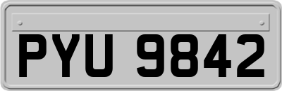 PYU9842