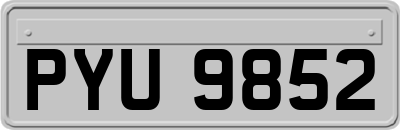 PYU9852