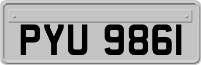 PYU9861