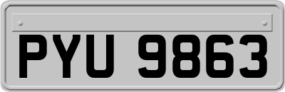 PYU9863