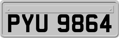 PYU9864