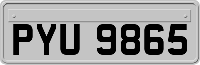 PYU9865