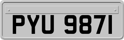 PYU9871