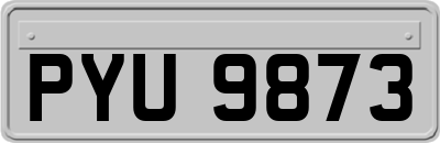 PYU9873